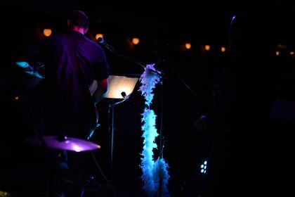 Cizí peří koncert